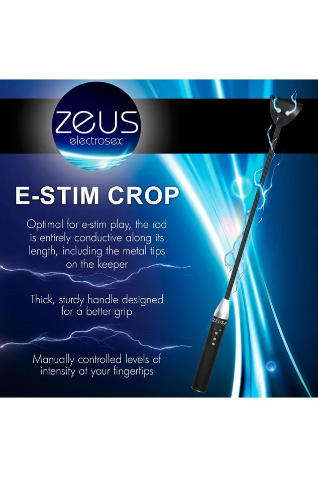 Vibrators Sex On the Go Estim Crop